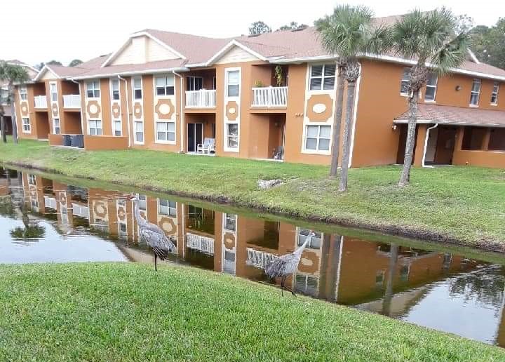 Palm Pointe The Multifamily Advisory Group at Cushman & Wakefield